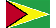 Flag of GUYANA
